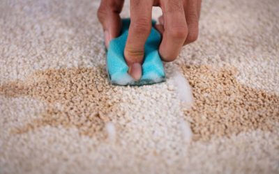 Carpet News – Teppichreinigung